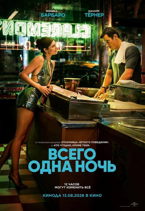 Постер: Всего одна ночь
